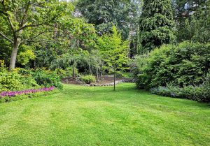 Optimiser l'expérience du jardin à Fontenoy-la-Joute