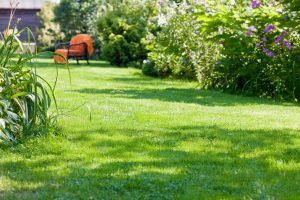 travaux jardin et paysage Fontenoy-la-Joute